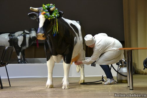 Дояры Челябинской области сразятся на конкурсе профмастерства